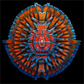 Colorful life through a microscope