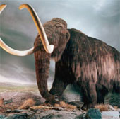 Comets started agricultural civilization