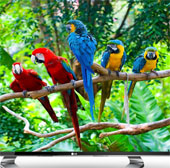 Coming to TV to understand Vietnamese voice