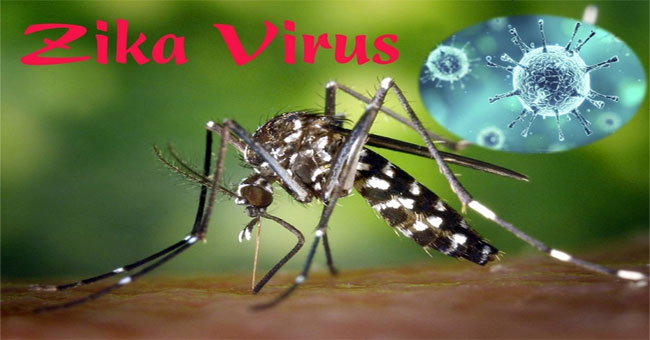 Common questions when Zika virus spread in Saigon