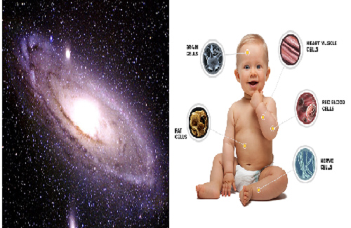 Compare the amount of human and galaxy cells in the universe