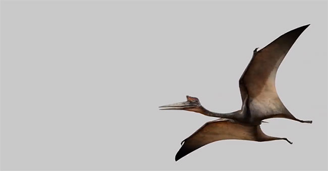 Compare the size of the largest prehistoric animals