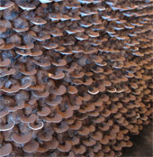 Complete the process of growing Ganoderma in Hue