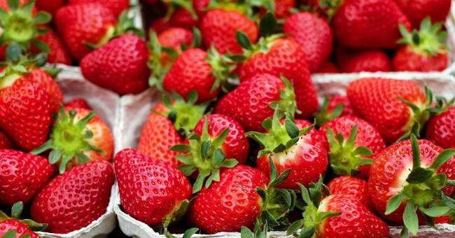 Compound in strawberry can help prevent Alzheimer's disease