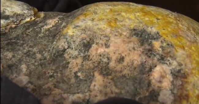 Compound makes sperm whale more expensive than gold