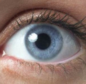 Computer equipment mimics the human senses
