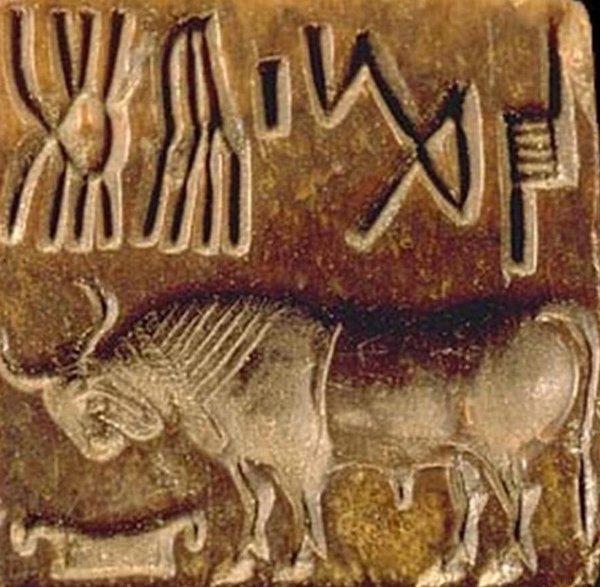 Computer explores the secrets of the ancient Indus script