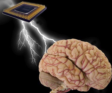 Computer training 'reading' gets human thoughts