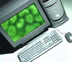 Computer virus: Looking back 20 years