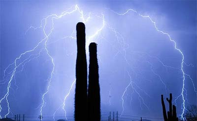 Conference of people who struck lightning did not die