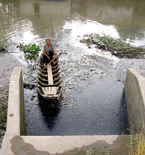 Consequences of environmental blame