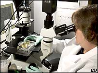 Consider cutting funding for stem cell research
