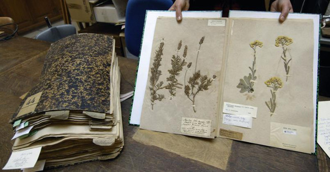 Consumption of a 230-year-old French plant was destroyed by Australian customs