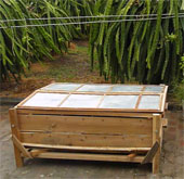 Container for handling dragon fruit waste of architecture students
