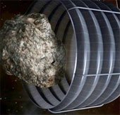 Contribute ideas to deal with asteroids