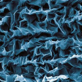 Control of the contraction of artificial muscle bundles in the form of graphene