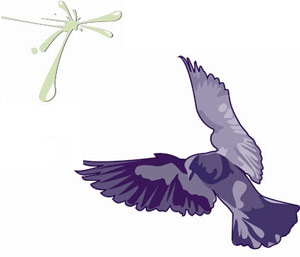 Control remote pigeons