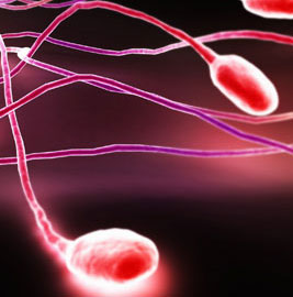 Control the sperm's gene