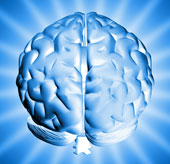 Controversy about the intellectual decline of humanity