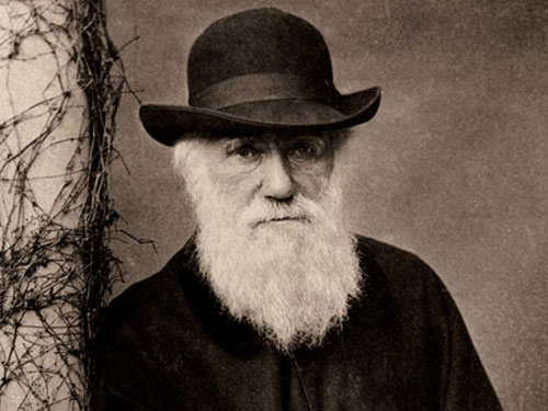 Controversy 'unique' about Evolutionary theory