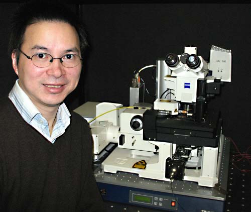 Convergence of light with nano matrices