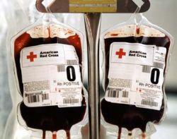 Convert blood groups A and B into groups for everyone