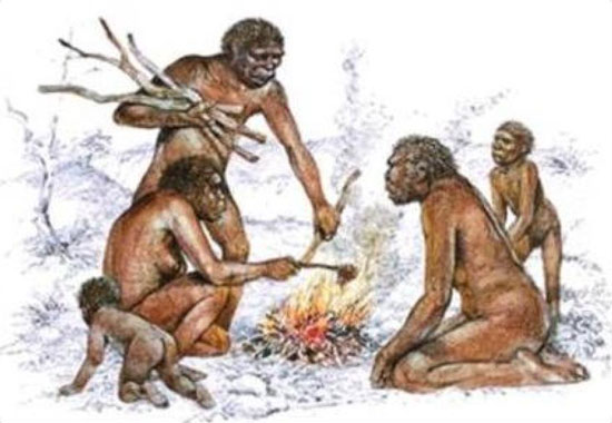 Cooking - an intense breakthrough of evolution
