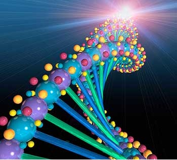 Cooperation in human genome research