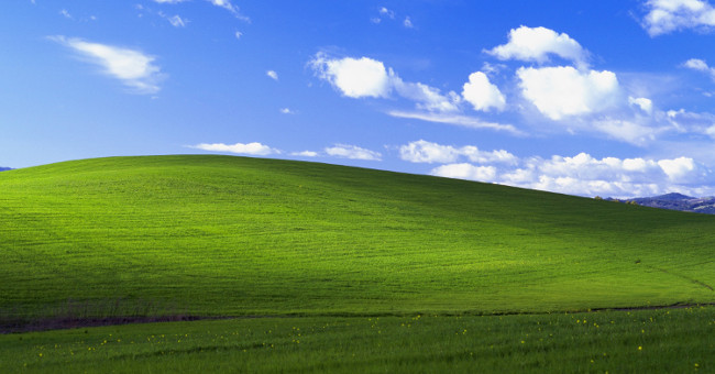 Copies from the most viewed photo of all time