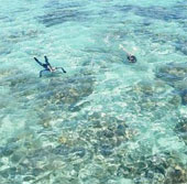 Corals 'eat plastic' adds to environmental concerns