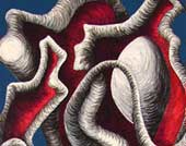 Correct understanding of Histology