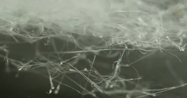 Cotton candy maker creates wound healing material