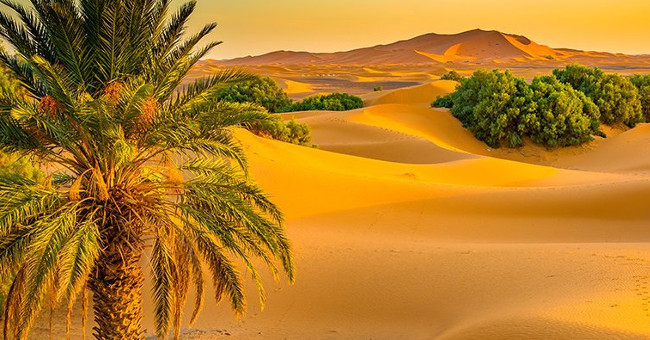 Could it be that humans have turned the Sahara into a desert?