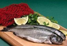 Crazy fish disease can threaten humanity