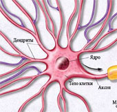 Create an internal cell communication mechanism via radio