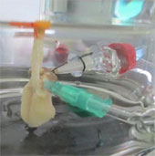 Create artificial lungs to test the treatment of lung cancer