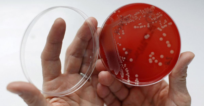 Create artificial molecules against drug-resistant bacteria