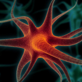 Create brain cells from urine