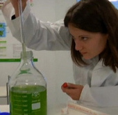 Create energy from algae