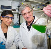 Create green fuel by photosynthesis