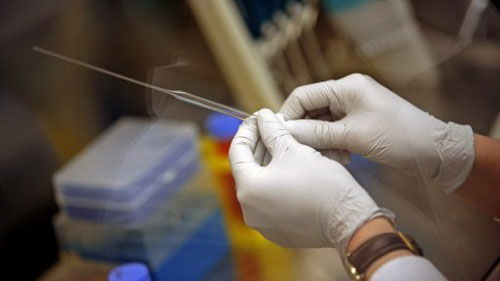 Create human liver from stem cells