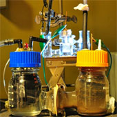 Create hydrogen fuel from sunlight and waste water