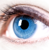 Create lens from stem cells