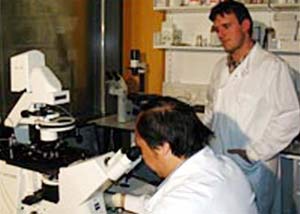 Create monster embryos to prepare medicines