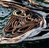 Create new materials to help treat the environment