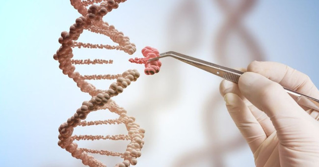 Create 'pencil' for genetic errors