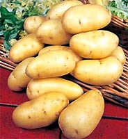 Create potato seeds like beans
