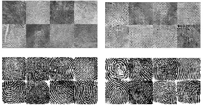 Create 'universal fingerprint', capable of unlocking the security of current smartphones