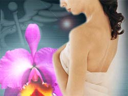 Create vagina from stem cells