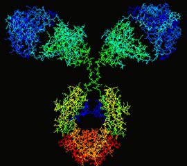 Creating antibodies from mustard seeds